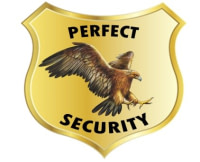 PERFECT SECURITY